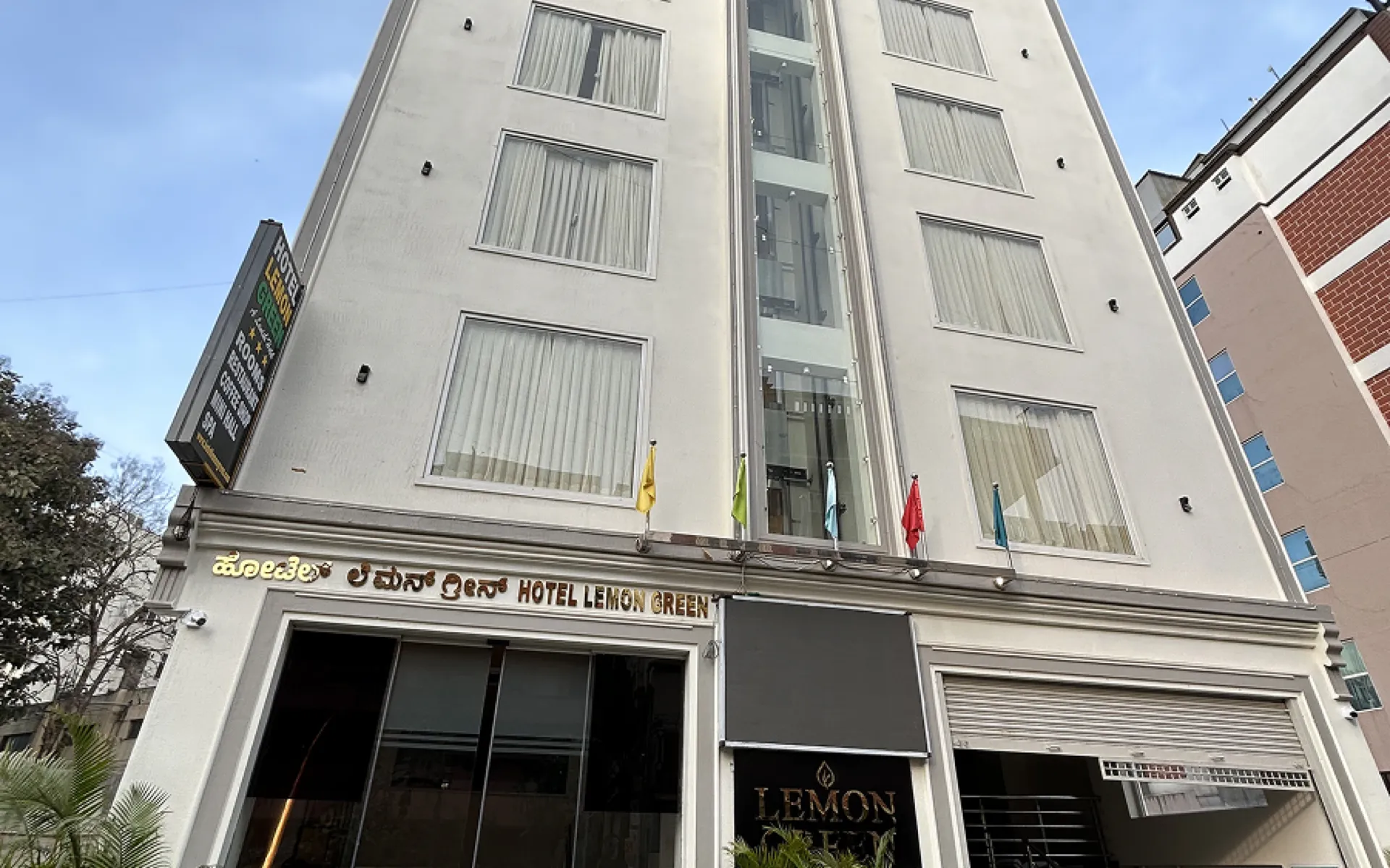 Ivy Lemon Green Hotel