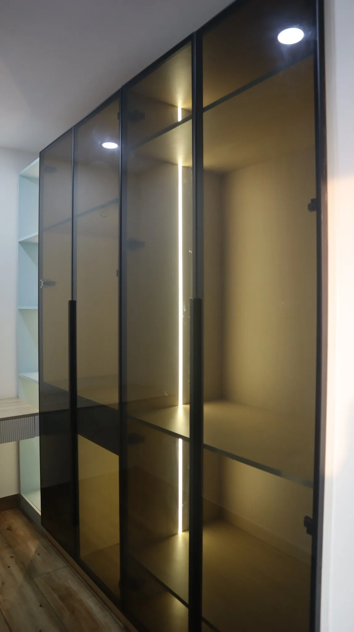 Smoked-glass wardrobe with black profile frames and internal lighting